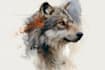 make animal illustrations in watercolor