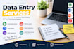 do accurate excel data entry, copy paste and web research