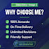 do accurate data entry, copy paste and web research
