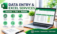 do data entry and excel spreadsheet work