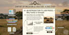 write SEO optimized animal and pet blog posts and articles