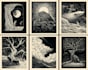 create a true woodcut or linocut illustration