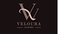 create a premium business logo design