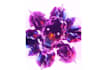 create custom dj visuals, vj loops and concert visuals