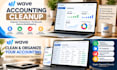provide wave accounting cleanup and financial organization