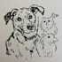draw pet portrait, dog, cat, bird