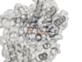 create protein structure and ligand figures in pymol