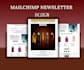 be your mailchimp email marketing expert