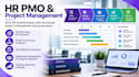 provide HR performance management,kpis and HR pmo consulting