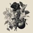 do a botanical illustration art