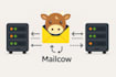 set up nextcloud, mailcow email, and matrix element on your server