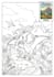 design bold and easy coloring ebook KDP