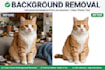 do remove background full body clean cutout in 24 hours