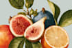 do a botanical illustration