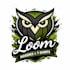 design professional logo and posters for brands