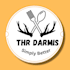 pro canva graphics designing