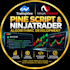 convert trading strategies into pine script and ninjascript