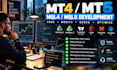 program mt4, mt5 indicator or expert advisor metatrader
