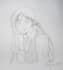 draw you a pencil sketch