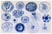 draw medical and science illustrations