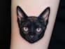 draw pet ears silhouette for tattoo