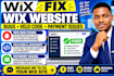fix wix website bugs velo code and payment issues