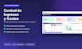 design a premium automated excel budget tracker dashboard