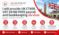 provide UK ct600 vat sa100 paye payroll and bookkeeping services