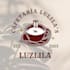create professional canva designs