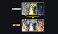 color correct, grade, and match multiple cameras in your video