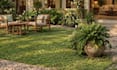 design landscape, backyard, frontyard, garden, patio, and 3d rendering