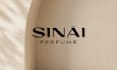design luxury perfume packaging and premium perfume box