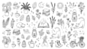 draw black and white outline illustrations