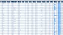 create a professional excel dashboard and data visualization