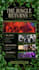 create event promotion graphics and social media content