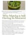 write SEO and GEO optimized articles and blog posts