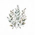 design botanical hand drawn logo
