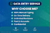 accurate data entry copy paste web research and excel work