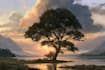 professional vector landscape illustration