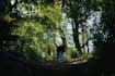 colour grade your project as a professional colourist