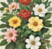 hand paint botanical illustrations