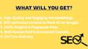 write SEO optimized content to rank high on google