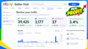 do professional ebay store management and ebay account handling