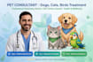 poultry and pets diseases diagnosis and treament planes