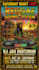 design animated motion flyers and static flyers, posters