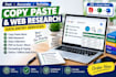 do data entry and copy paste and web reseach