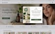 setup optinmonster exit intent popup lead capture optin conversion automation