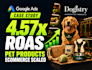 setup and manage pmax google shopping ads for pet brands
