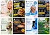 design professional flyers in canva