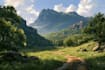 design a landscape illustration